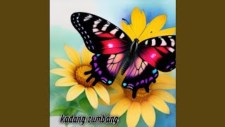 Download lagu kadang sumbang mp3