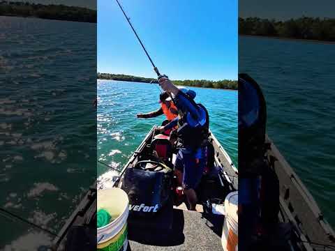 Três tucunarés de uma vez só  no rio Corrente, Serranópolis GO #pesca