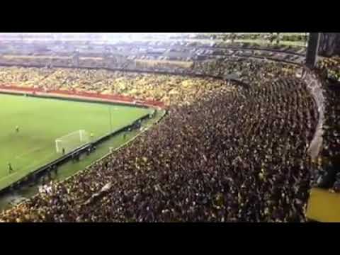 "La hinchada mas popular del ecuador" Barra: Sur Oscura • Club: Barcelona Sporting Club • País: Ecuador