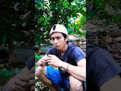 YouTube · funny comedy  — Tertawa sampai sakit perut? Coba deh video lucu ini, dijamin bikin hari kamu lebih ceria! 😂✨