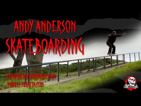 Powell Peralta Pro Andy Anderson Heron FLIGHT® Skateboard Powell Peralta Pro Andy Anderson Heron FLIGHT® Skateboard
