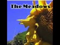 The Meadows- Count on Me 