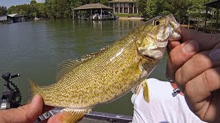 Bass Fishing Tournament Recap & Fun Fishin' (Smith Mountain Lake FLW BFL)