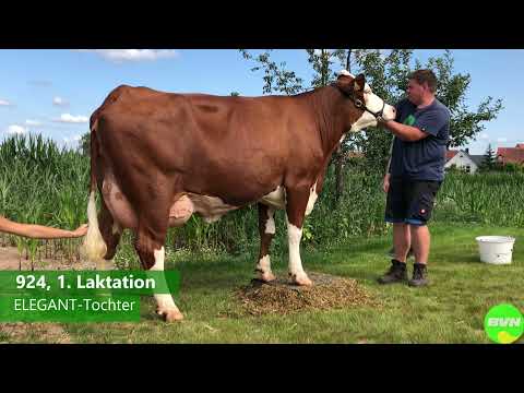 Elegant- Macht das Unmögliche möglich