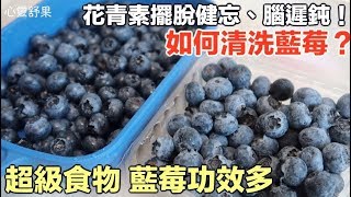 [問卦] 藍莓那裡買才便宜？