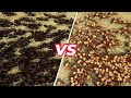 300 EXPLOADING ANTS VS 300 ARMY ANTS