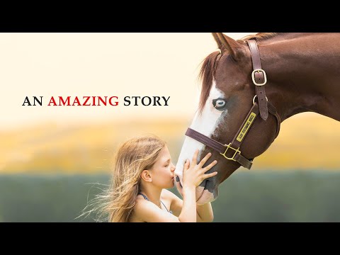 An Amazing Story - Casey Deary & Down Right Amazing