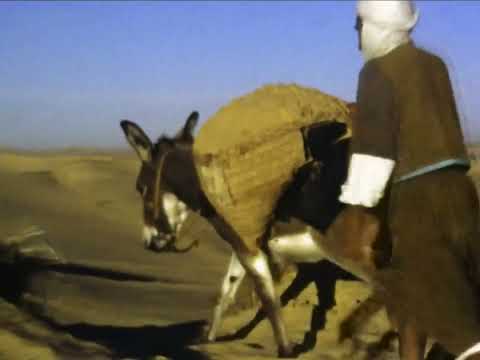 1972/1973 - Dr. Heinz Laprell | 50 Tage durch Afrika