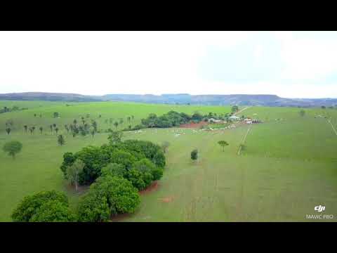 Fazenda - 96 hectares - Girassol GO - Município Cocalzinho GO