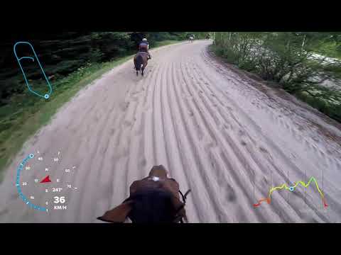 Que t'es Belle/Usticia 28-06-2019