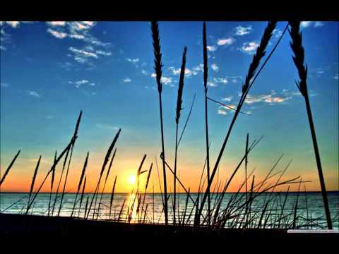 LA FUERTEZZA FIESTA FLAMENKA