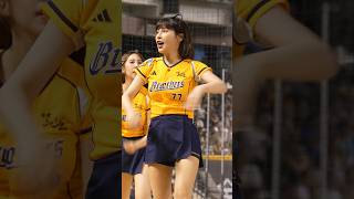 体の動きがよくわかる、真横からの陳子豪應援📣 #峮峮 #ちゅんちゅん #チュンチュン #台湾チア #cheerleader #치어리더  臺北大巨蛋 2024/8/3【台湾チアTV】