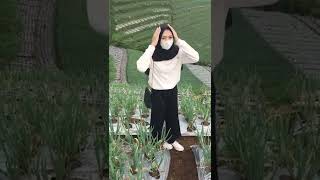 Download lagu LAGI FOTOIN DOI DI KEBUN BAWANG | HALU STORY #shorts #storyhalu #storyig #storywa mp3 Download lagu LAGI FOTOIN DOI DI KEBUN BAWANG | HALU STORY #shorts #storyhalu #storyig #storywa mp3