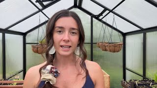Second year teaching myself farming (without a tractor): realistic tour/update