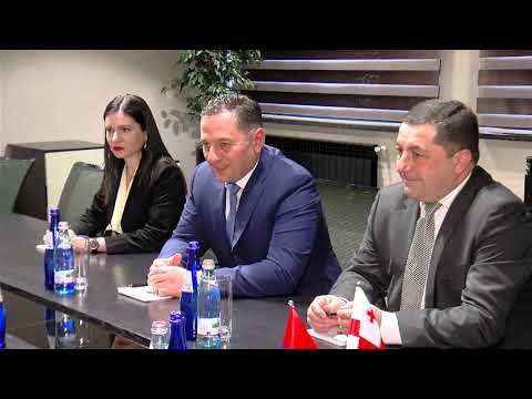 Director of the NSS of RA met Georgian partners