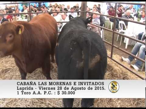 28-08-15 Venta de Toros P.P. y P.C. - Cabaña Las Morenas e Invitados - Laprida