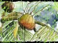Lime In The Coconut - The Hit Crew Take 2 *k ...
