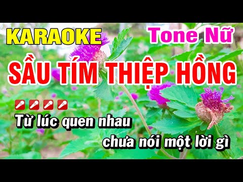 Karaoke Sầu Tím Thiệp Hồng Nhạc Sống Tone Nữ Chuẩn | Hoài Phong Organ