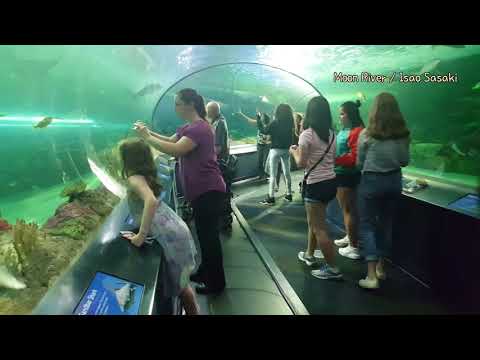 New Age Music - Isao Sasaki Collection 2