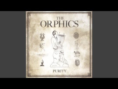 Curse of the Gypsies