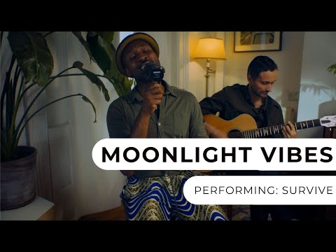 Moonlight Vibes - Survive