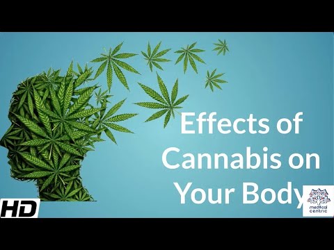 , title : 'Effects of Cannabis on your body.'