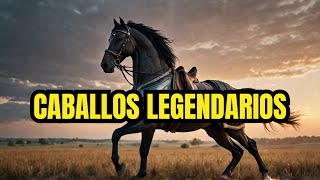 La historia de caballo de guerra