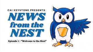 News from the Nest | Episode 1: Welcome to the Nest 🦉