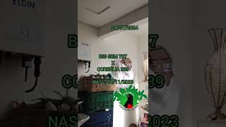 BIG SEM 787 X CORBÉLIA 339 - CRIATÓRIO PRORROGAÇÃO