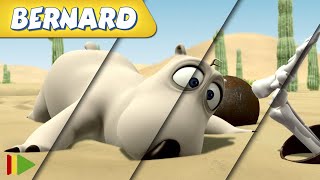 🐻‍❄️ BERNARD  | Collection 37 | Full Episodes | VIDEOS and CARTOONS FOR KIDS