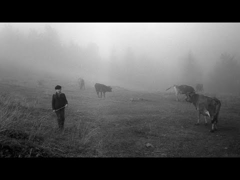 Rãdvilė - Piemenuko Skundas