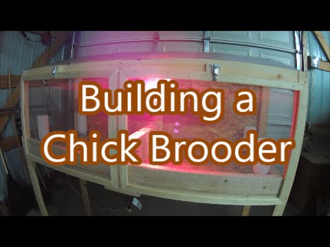 Chick brooder