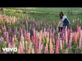CestHaze - ROMEO (Official Music Video)