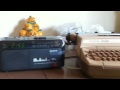 Hey Matthew It S Your Birthday Song From Zoom