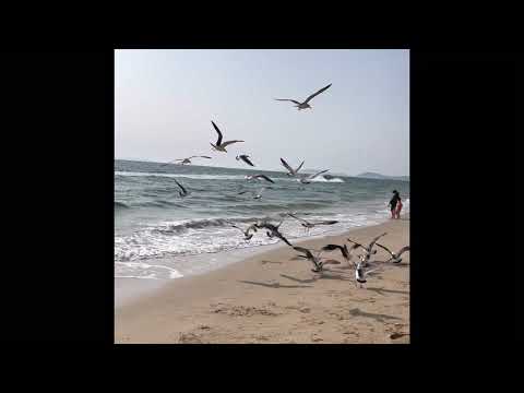 Beauty of Korean Sea Beach