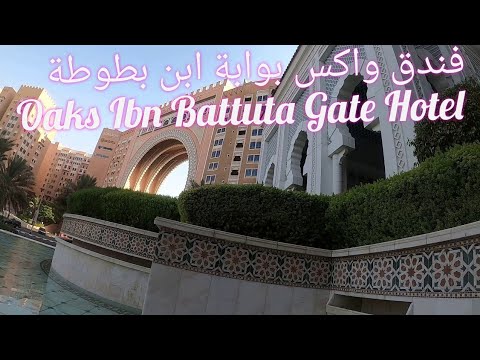 الفيديو