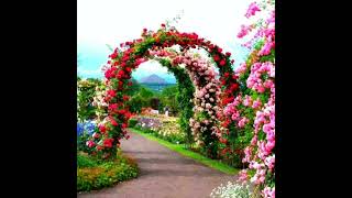 Love never broke anyone&#39;s heart-Vince Gill