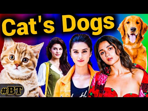 Cat's Dogs Of Bollywood Actress 😻🐾🐶 | Btwoodtop10