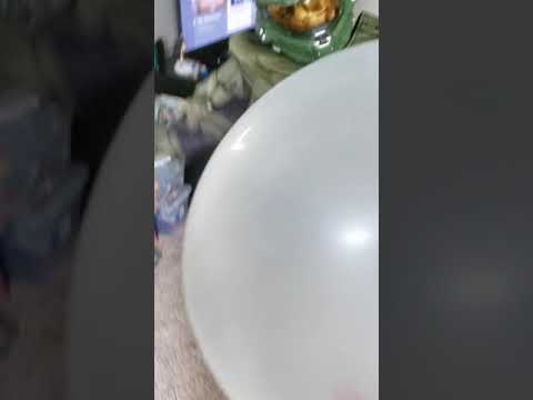 Little chief and a wobble bubble..