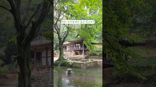보성 가볼만한곳 best6💚 #보성 #보성여행 #보성녹차밭 #열화정 #주월산 #윤제림 #율포해수욕장 #득량역추억의거리 #국내여행 #travel #shorts
