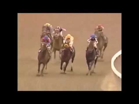 Woodward Stakes 1995 - Cigar