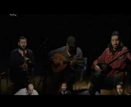 The international TRIo Live