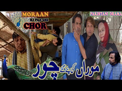 Moran ki Chor - Pothwari funny video 2022 - Hameed Babar Ramzani - Shahnaz Khan - Punjabi Drama
