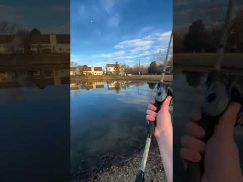 First Baitcaster “Abu Garcia Vengeance” #baitcasting #baitcaster #bassfishing #fishing #outdoors