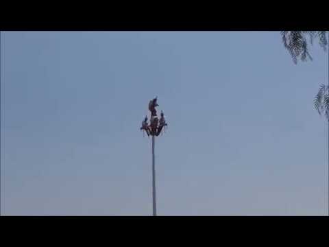 Interview for celex  2019