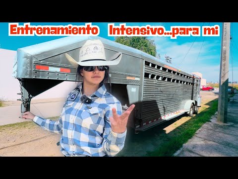 What nobody tells you about TRAINING and MOVING 6 horses in one day......🤠🔥