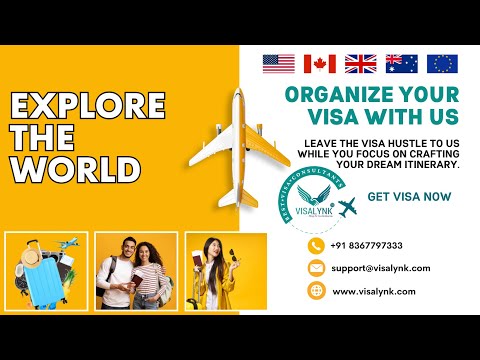 visa experts