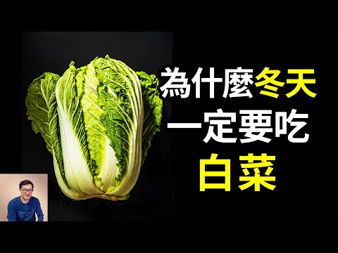 畝產2萬斤的性價比之王，憑借神奇的生存技能，成為冬天最重要的蔬菜！最成功的栽培作物，大白菜的瘋狂真相……【老肉雜談】#生物 #知識 #植物 #蔬菜 #白菜