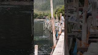 Download lagu Strike Fishing Mania mp3 Download lagu Strike Fishing Mania mp3