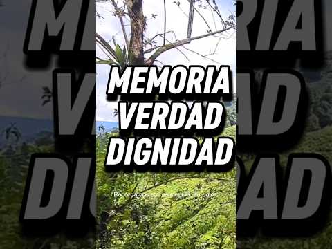 Cotzal Quiché 1982 | Memoria Histórica Guatemala #CEH #Quiche
